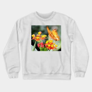 Orange Butterfly on Tropical Lantana Flowers Crewneck Sweatshirt